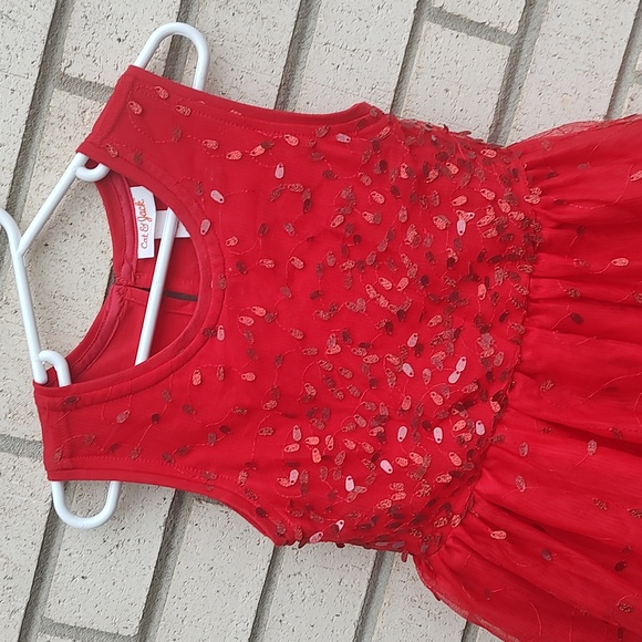 Cat&Jack Red Dress - Picture 7 of 12